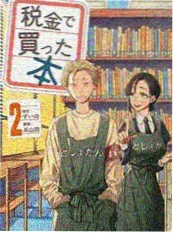 国创动画夏日回声封面